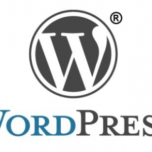 WordPress5.4.2官方简体中文绿色版在线下载